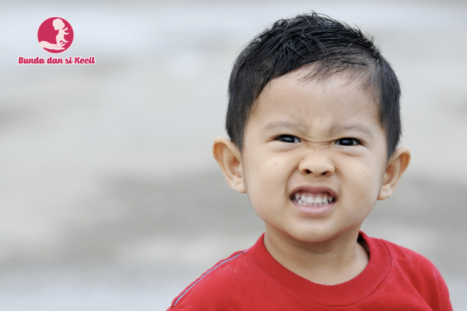 "Terrible Twos": Mengapa Anak 2 Tahun Sering Marah dan Cara Menghadapinya